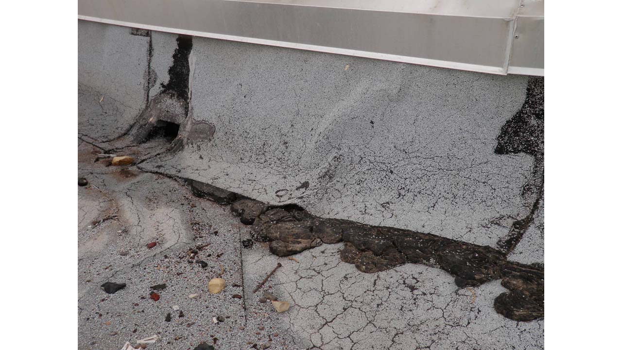 STUDIES AND ASSESSMENTS