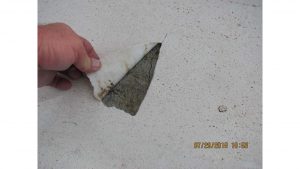 STUDIES AND ASSESSMENTS